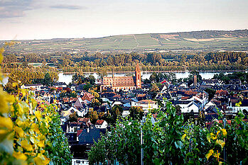 geisenheim Karriere Geisenheim