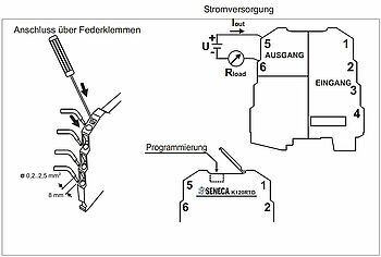Anschlussmöglichkeiten über Federklemmen WK120RTD