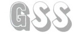partner gss